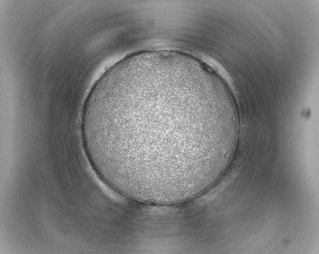 X0000090751429200708101715