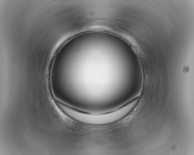 X0000090751430200708101715