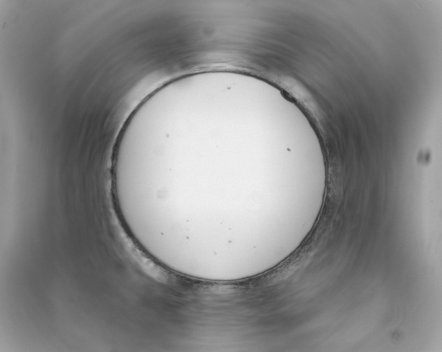 X0000090751431200708101715