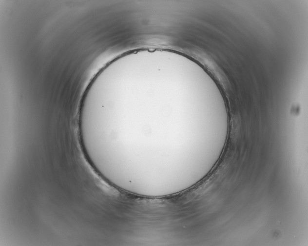 X0000090751432200708101715