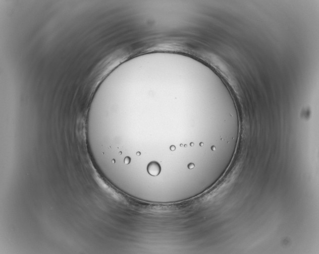 X0000090751433200708101715