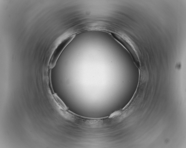 X0000090751434200708101715