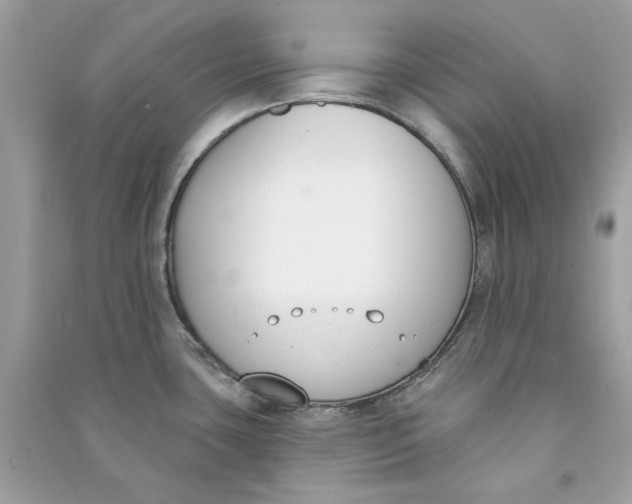 X0000090751435200708101715