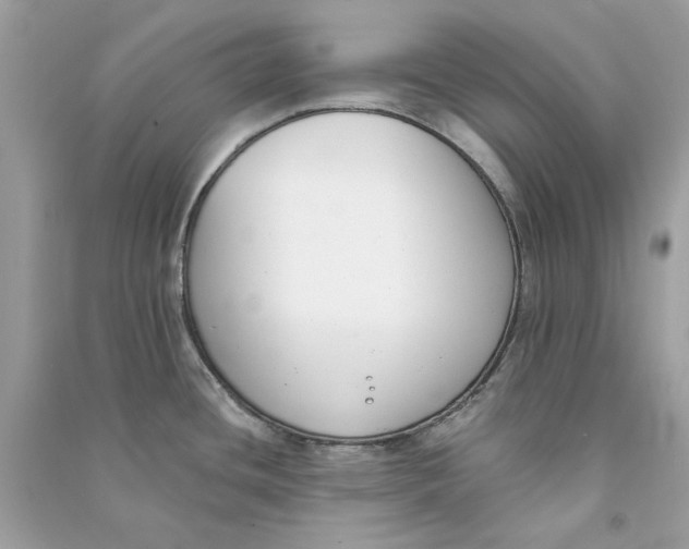 X0000090751436200708101715