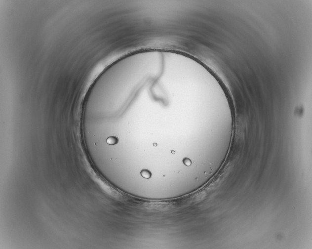 X0000090751437200708101715