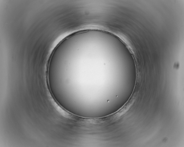 X0000090751438200708101715