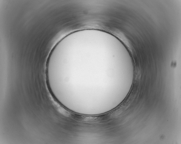 X0000090751439200708101715