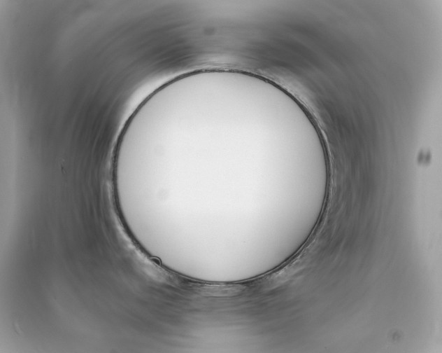 X0000090751440200708101715