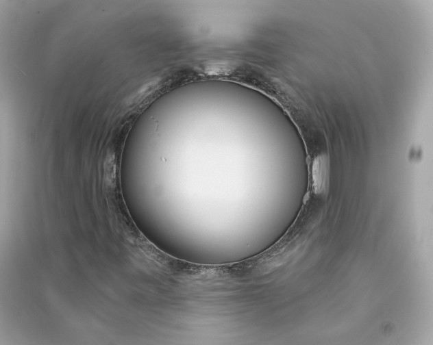 X0000090751443200708101714