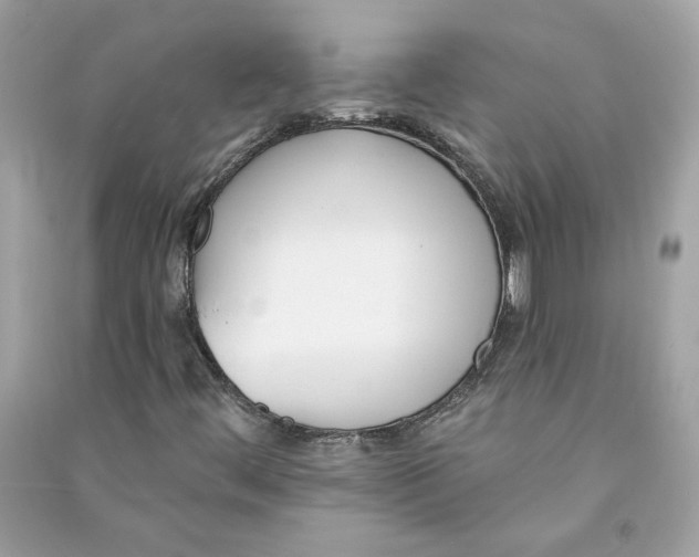 X0000090751444200708101714