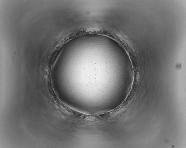 X0000090751445200708101714