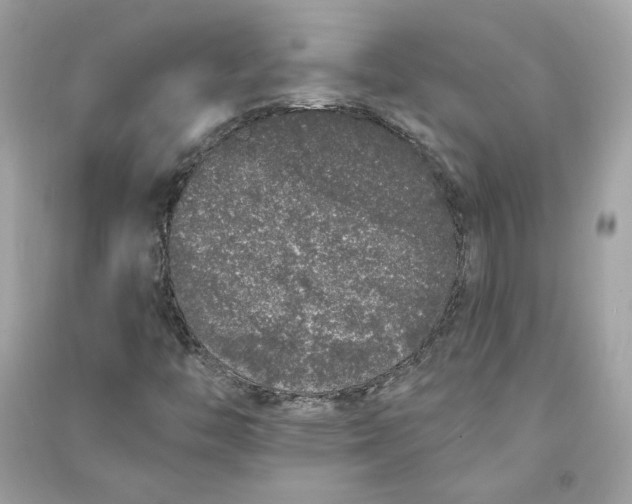 X0000090751446200708101714