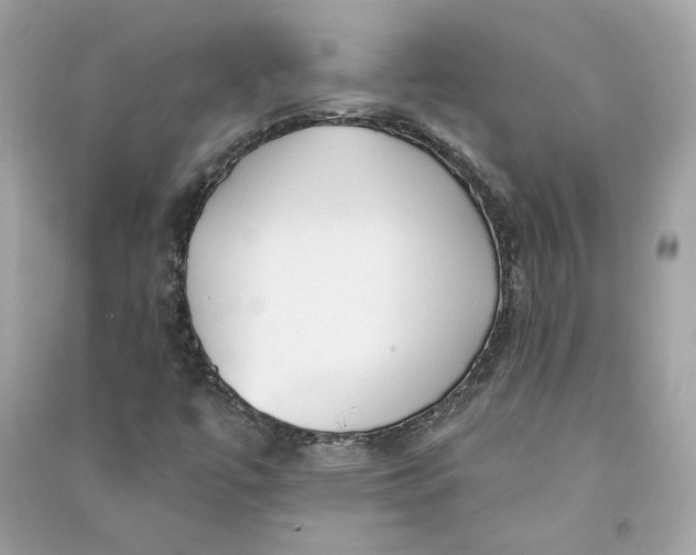 X0000090751447200708101714