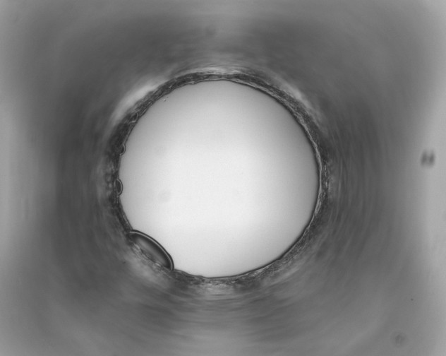 X0000090751448200708101714