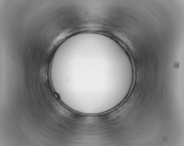 X0000090751451200708101714