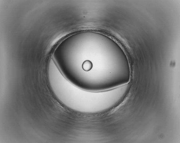 X0000090751453200708101714