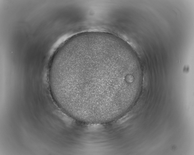 X0000090751454200708101714