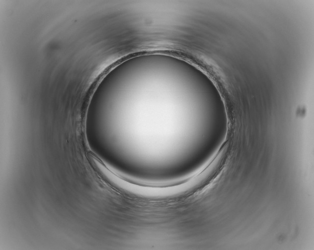 X0000090751457200708101714