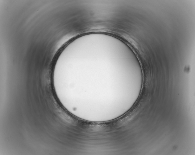 X0000090751458200708101714