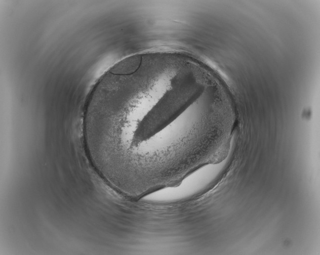 X0000090751459200708101714