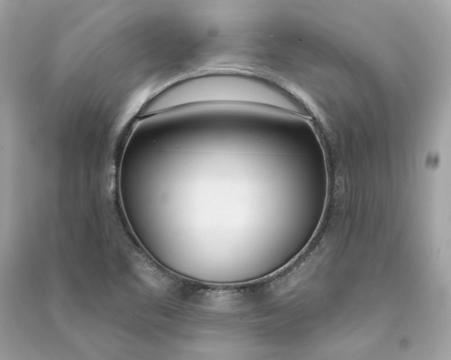 X0000090751461200708101714