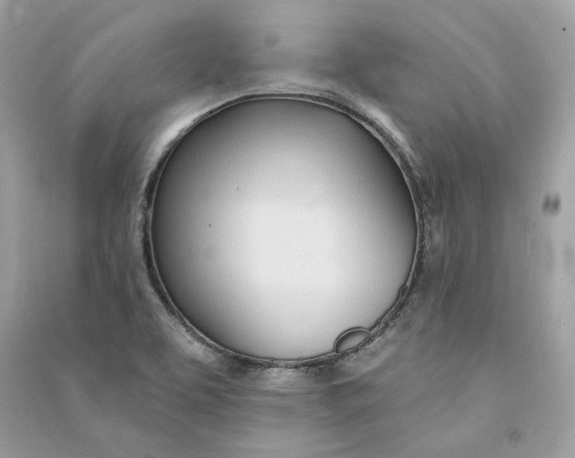 X0000090751463200708101714