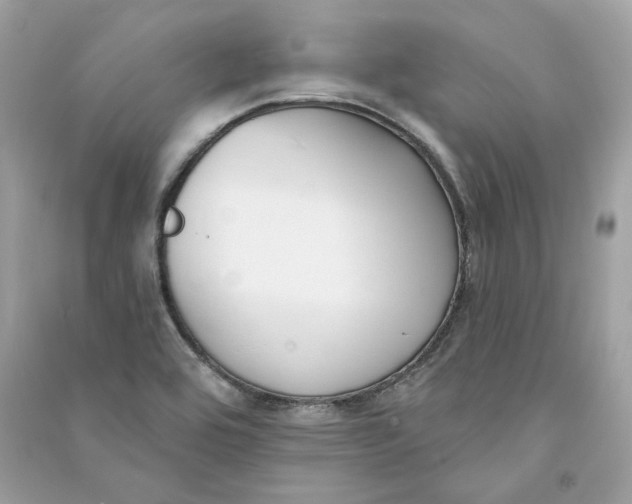 X0000090751464200708101714