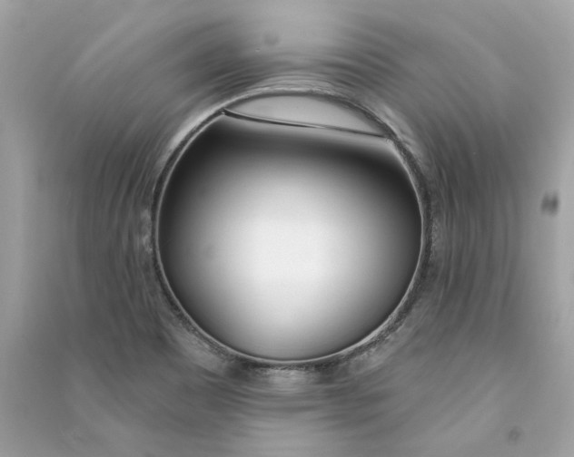 X0000090751465200708101714