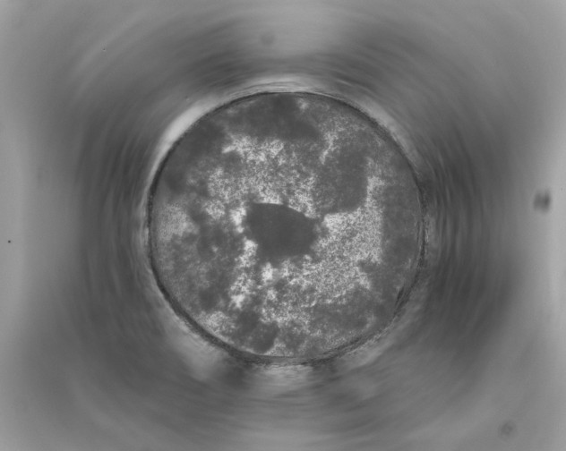 X0000090751466200708101714