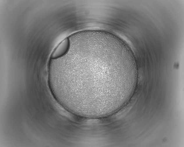 X0000090751467200708101714