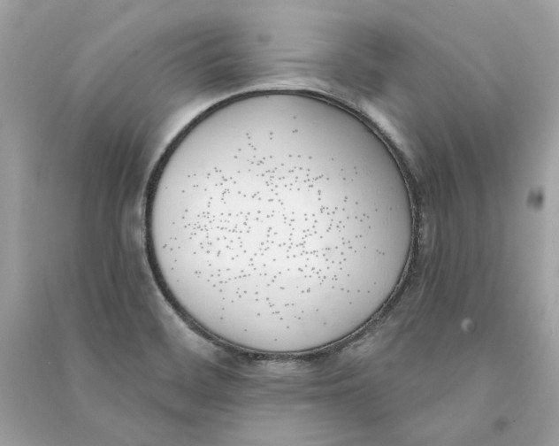 X0000090751468200708101714