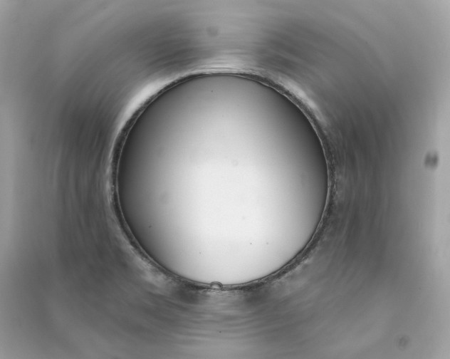 X0000090751469200708101714