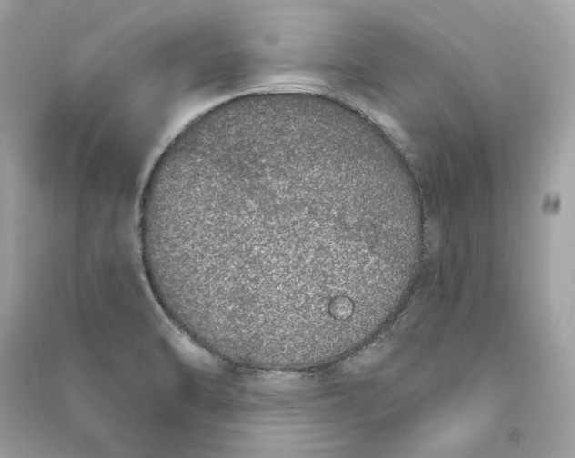 X0000090751470200708101714