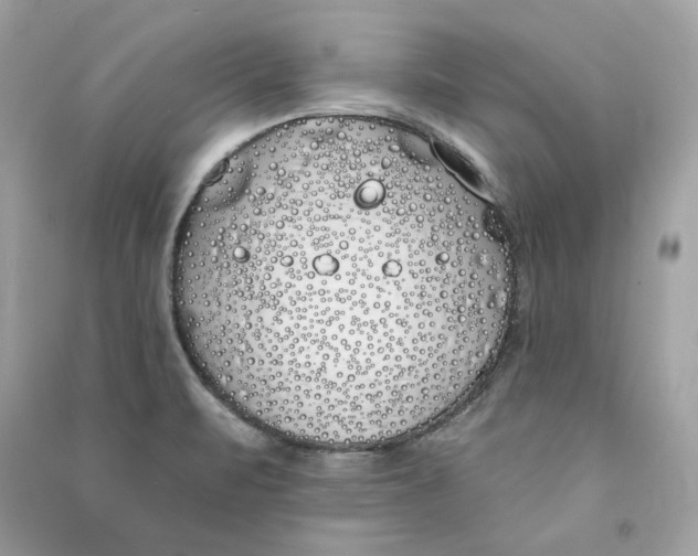 X0000090751471200708101714