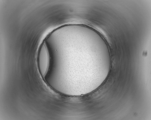 X0000090751472200708101714