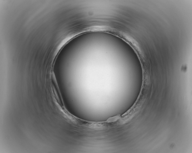 X0000090751473200708101714