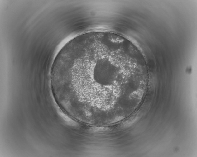 X0000090751474200708101714