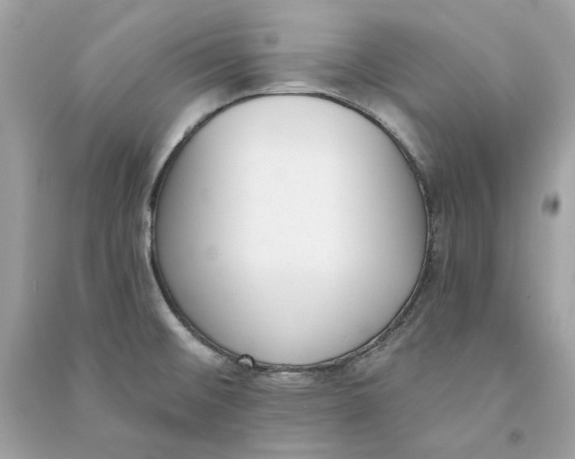 X0000090751476200708101714