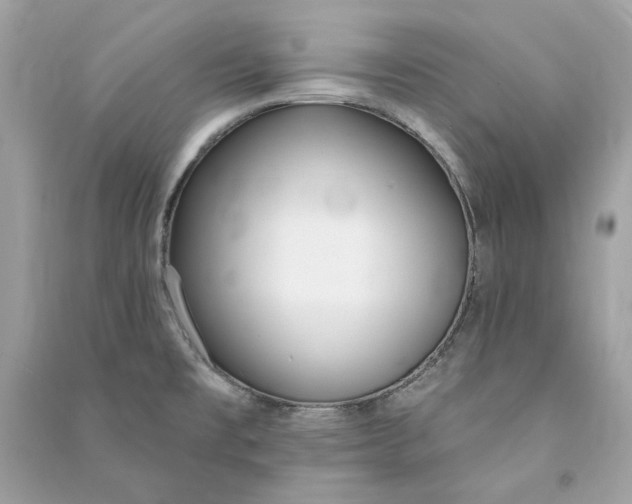 X0000090751477200708101714