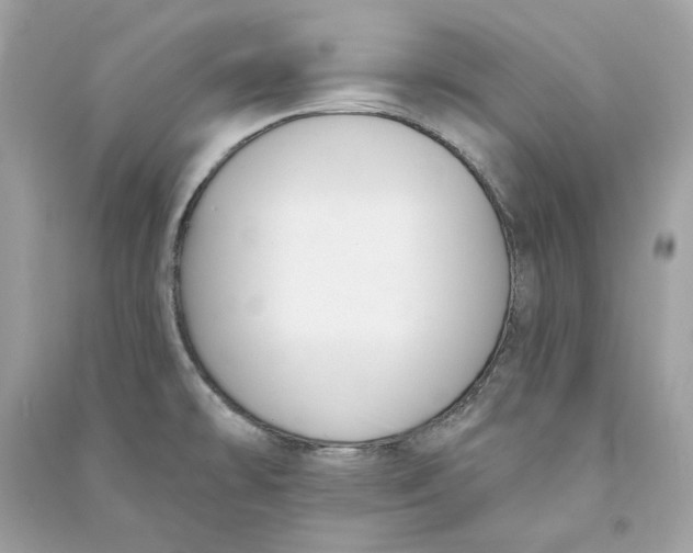 X0000090751478200708101714