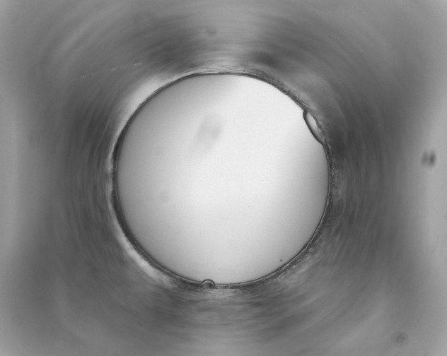 X0000090751479200708101714