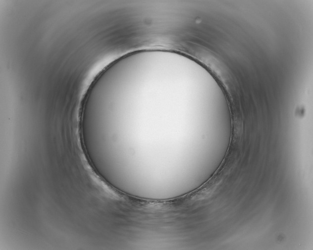 X0000090751480200708101714