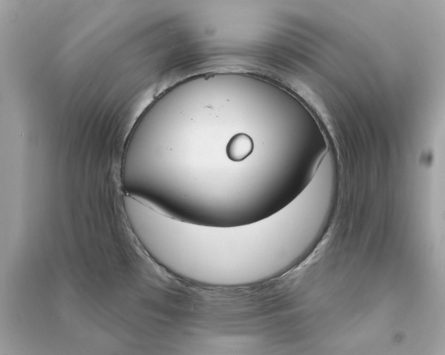 X0000090751481200708101714