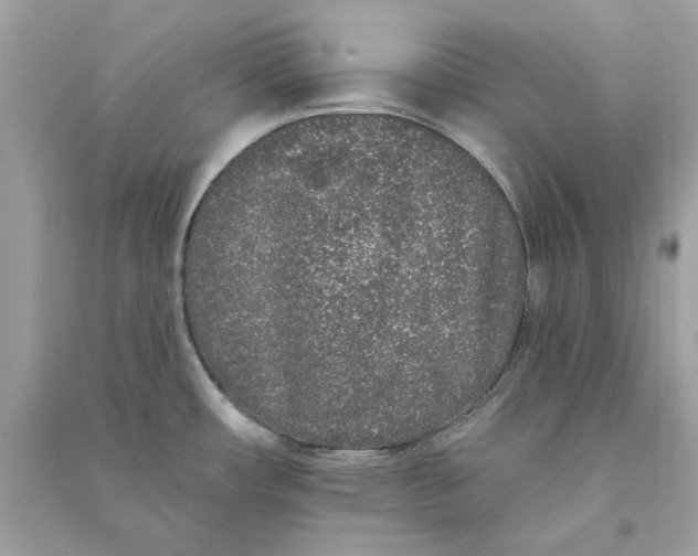 X0000090751482200708101714