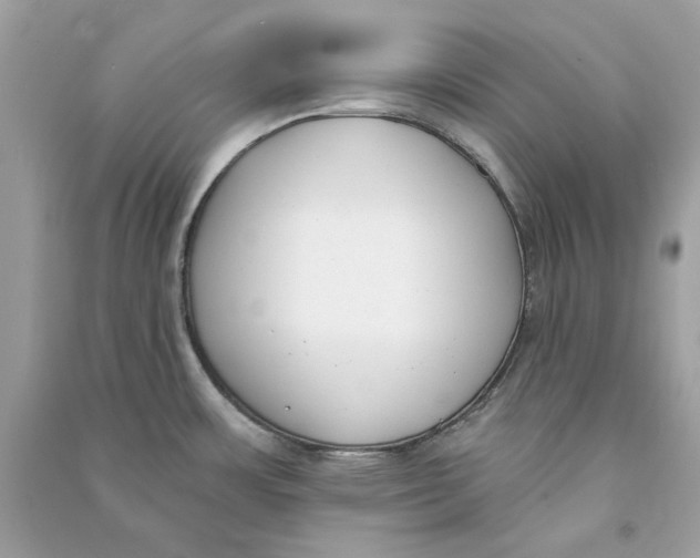 X0000090751483200708101713