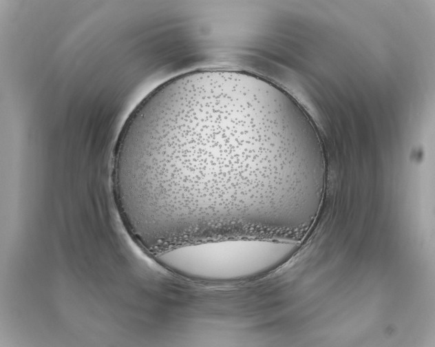 X0000090751484200708101713