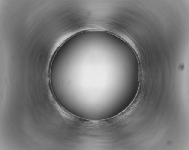 X0000090751485200708101713