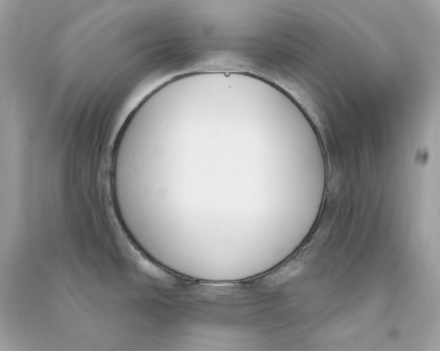 X0000090751486200708101713