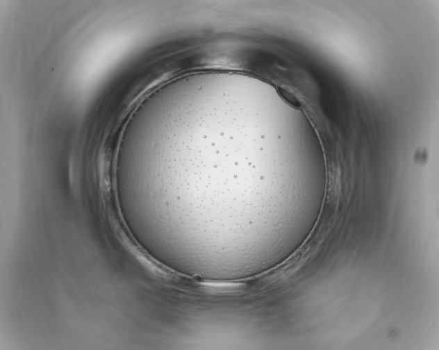 X0000090751487200708101713