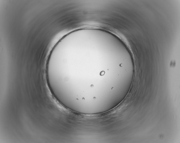 X0000090751488200708101713